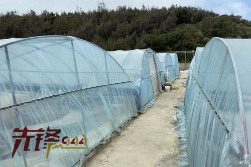 重拳出擊水產投入品法律雷區(qū) 福建嚴查畜牧漁業(yè)飼料銷售